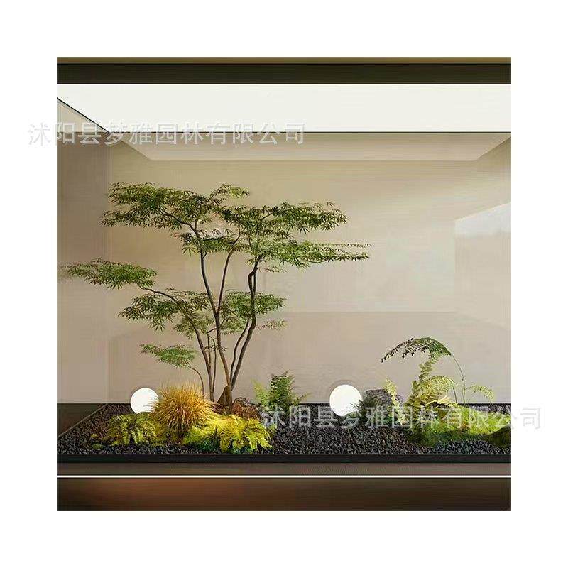 仿真绿槭装植鸡爪假枫树造景窗橱商场茶室鸡爪槭仿生植物饰景观摆