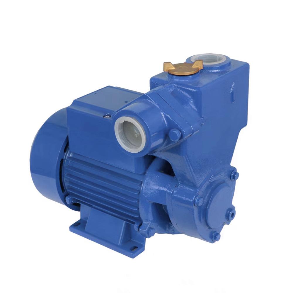 KQSM全自家用GVM农用水井抽水自吸自式家用增压泵清水动吸泵220V