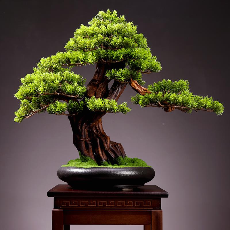 迎客松厅植物盆景室内客绿植盆栽大微型F76M8M89假树桌面景观装饰