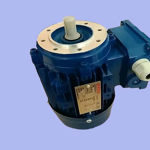 利FEL意MZFW大电M机马达A90L-4
