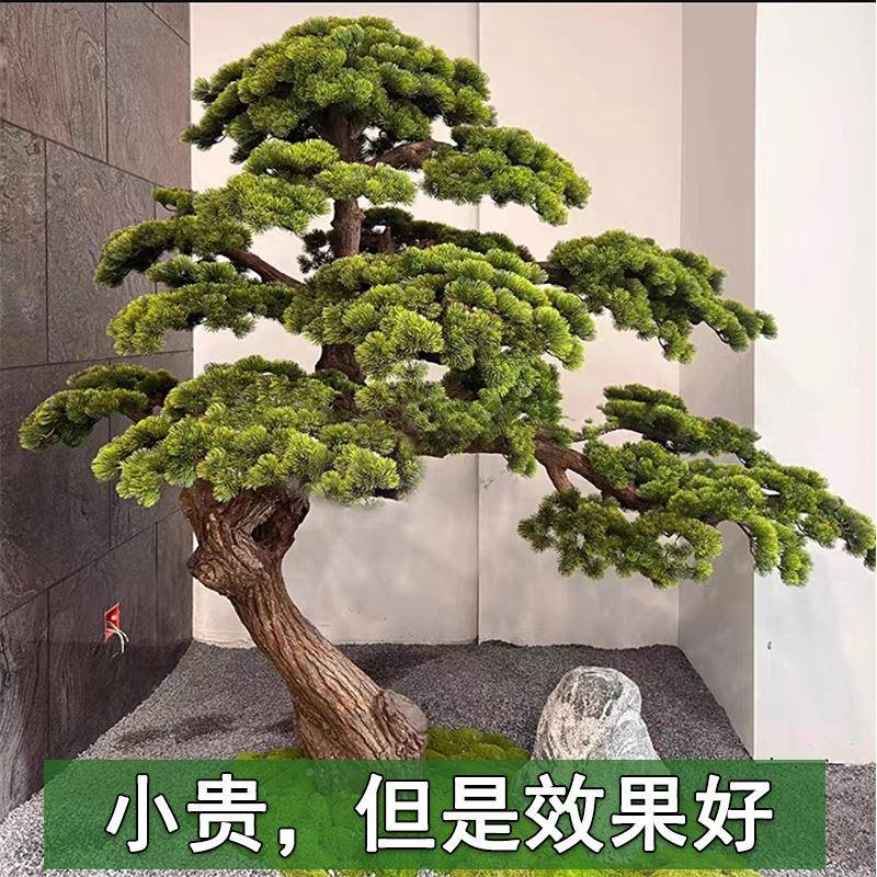 松仿FZYKSS-2真迎商客松罗汉假松树造景场观室内盆景装饰造型景美