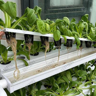 NF培系统管道水式无T土种植水培种菜机立体自动NFT小系化水多耕层