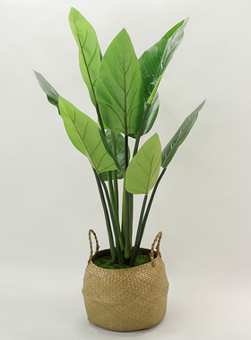 置物架装饰小摆件瓷砖展厅模拟间落地花艺卫生间样板房浴缸软饰品