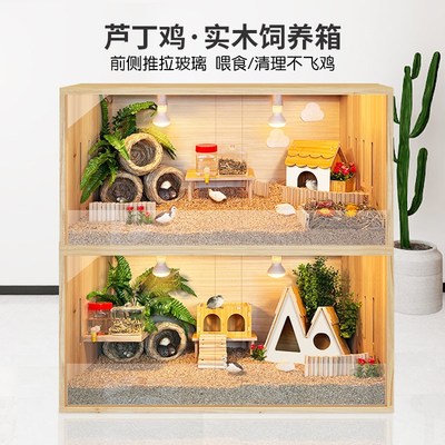 芦丁鸡饲养箱幼鸡保温箱小鸡笼子卢丁鸡养箱造景恒温箱专用箱鸡窝