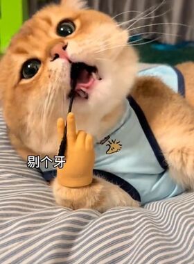 猫手指套猫咪人手玩具逗猫撸猫手套迷你高弹力软胶小猫爪搞笑可爱