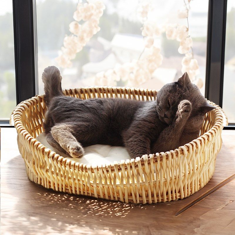 藤编猫窝四季通用半封闭睡窝夏天藤编筐小猫窝户外阳台凉席窝幼猫,宠物/宠物食品及用品,猫窝/屋/帐篷/沙发,淘宝优惠券,粉丝福利购,淘宝优惠卷