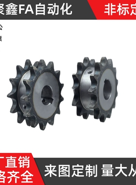 链轮双列SP50SD12 13 14 15 16 17 18 19 20 21-S-10 13 50B 10A