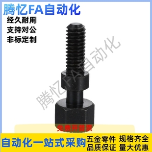 L70 L75 L95 M4M5M6M8 L100 L90 L65 L85 细牙调整螺栓PAY31 L80