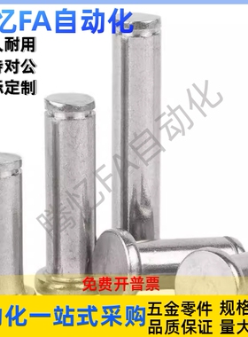 SHCCG SHCDG SHCCGH3 4 5 6 8 10-10 15 20 25 30铰链销CCG CCGH