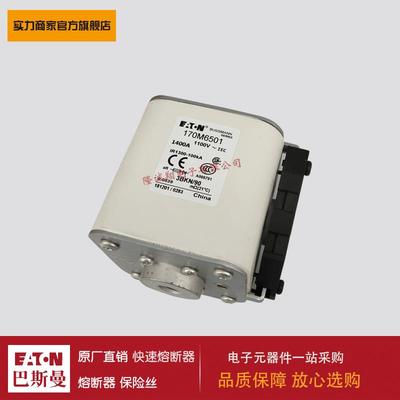 熔断器170M6520 170M6521 170M3558 170M3559 170M3560 170M3561