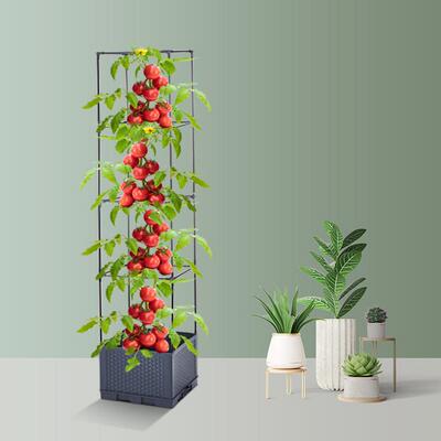 方顶种菜植套装蔬菜种植爬架种箱子架水土分离TEG送园艺扣箱扎丝