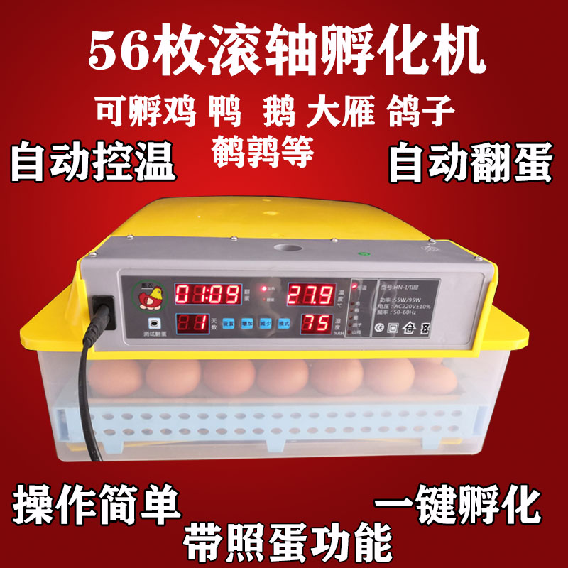 抱小鸡的机子鸡蛋孵化机家用鸡苗孵化箱电炮活小鸡的机器小孵卵器