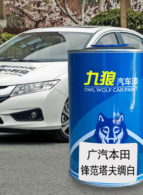九狼汽车漆本成品田改色车烤飞塔夫绸白星光银度海洋蓝锋瑞丽红范
