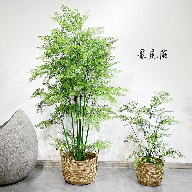 落地仿真凤尾蕨草树假绿植物盆栽景室内原始自然森系庭院阳台装饰