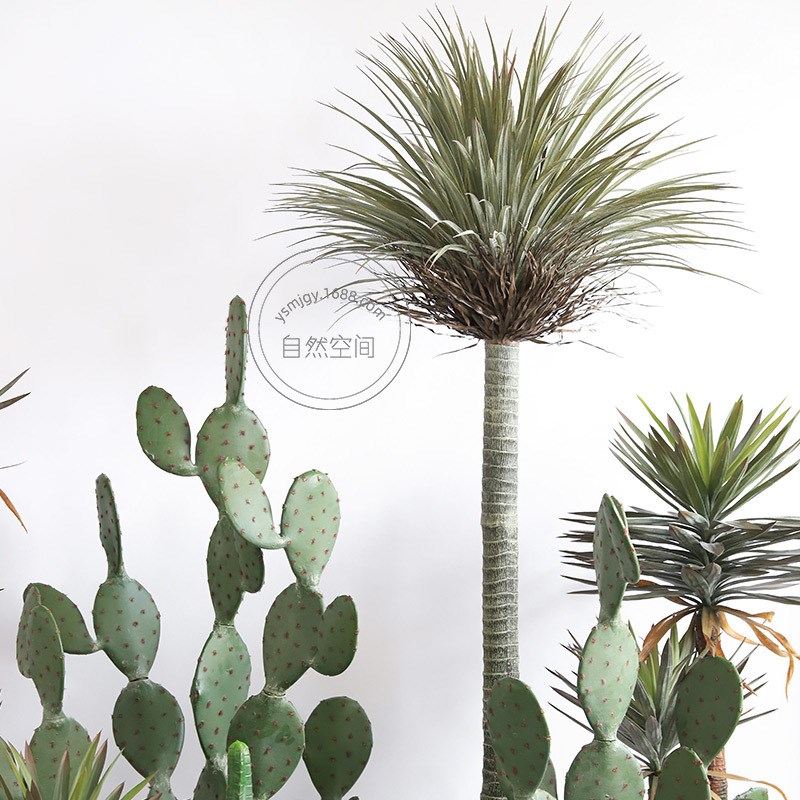 假植物仿生绿植盆栽大型室内装饰沙生植物仙人镜大型仿真仙人掌