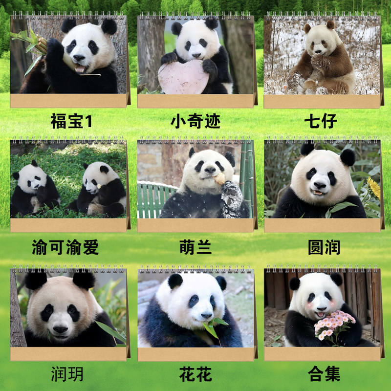 大熊猫萌兰福宝渝可渝爱圆润玥小奇迹2024年双面台历挂历日历定制