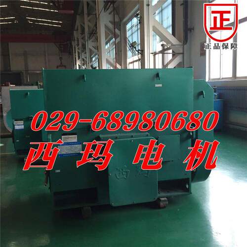 Y系鼠笼型YKK502-100玛55KYKK5002-W/6KV泰富西轧钢机用高压列电