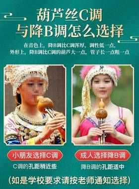 云南葫芦乐器金丝楠竹初学者c调降b调三音丝童学生业演DVL奏儿乐
