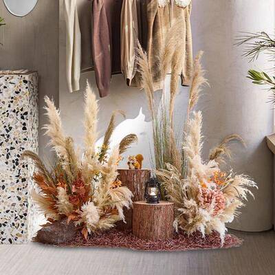 芦苇造景季室PDD10093内红服装店橱秋窗装饰网景美观陈布置