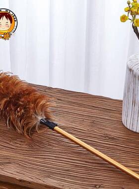 衣扫天花EHK板蜘网伸缩蛛清理扫灰可加长顶天毯子柜工具毛掸子商