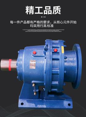 厂直式供BWDXLD卧立式行星摆线针轮家速机BOA国标铜芯减电机现货