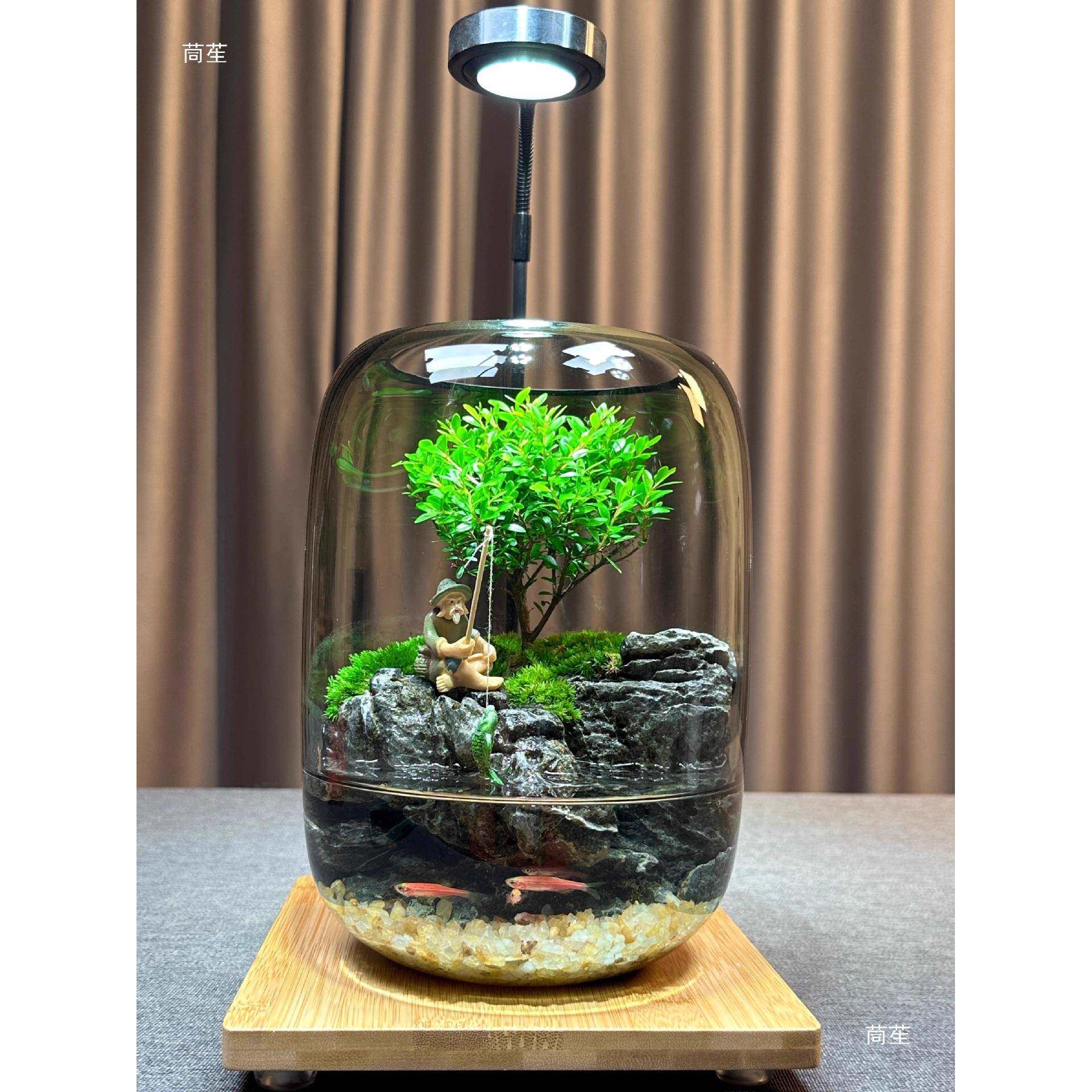 创苔意办藓景JZJ观微公室缸鱼缸桌面瓶摆件成品