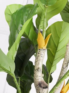 型仿YIQ大真绿植琴叶榕室内客厅仿真树大号假装饰仿真琴叶榕盆树