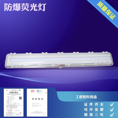 防爆全塑荧光灯/防爆防腐免维护LED荧光灯/BYS-1X18W/2X18W照射灯