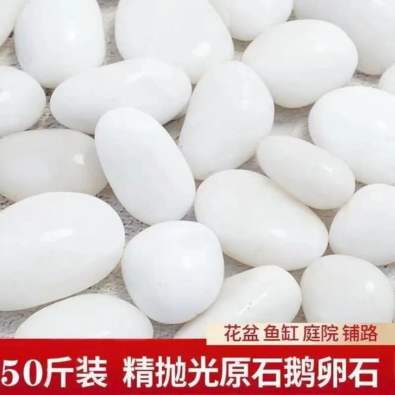天然纯白色鹅卵石抛光庭院阳台石头铺地水培园林造景水培石子花盆