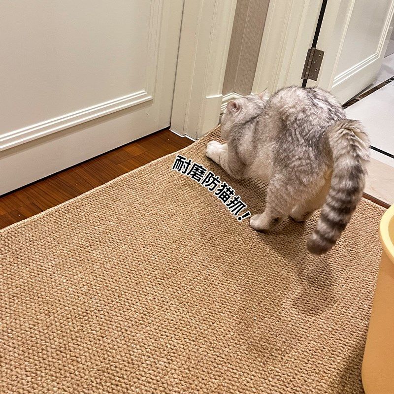 宠物地垫猫磨爪子猫抓板防抓耐磨四季猫狗睡觉用地毯仿剑麻猫抓垫