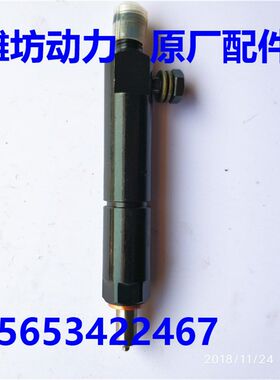 潍坊潍柴华丰R4105ZD 4RMAZG R6105 6110 喷油器 喷油嘴总成 配件