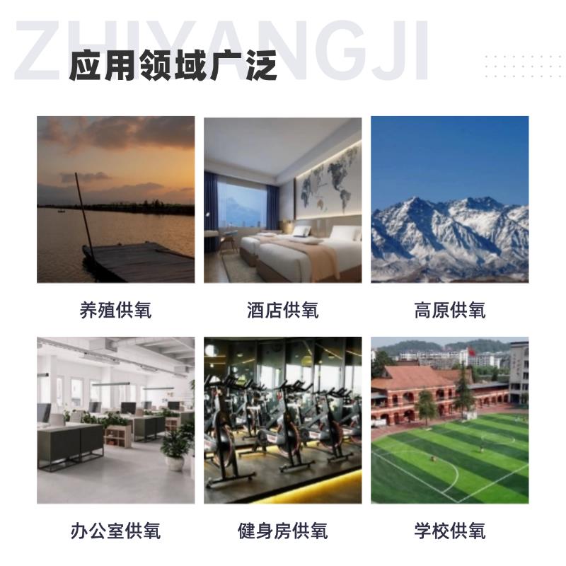 德系进口工业制氧机高纯度制氧机气体置换助燃鱼塘养殖制氧设备