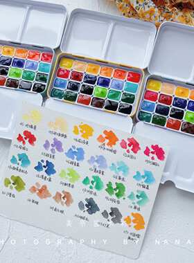 Ds大师级艺术家基础官配色色铁盒分装水彩颜料4836色新手色试24