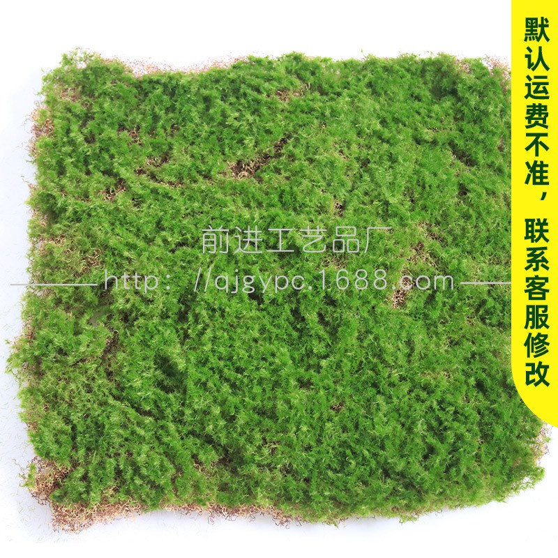 大灰藓草坪假草皮人造绿色塑料装饰人工绿化景观装饰苔藓草坪