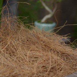 天然椰丝铺面植物盆栽绿植种花盆土面覆盖物装饰鸟窝垫料铺面椰丝