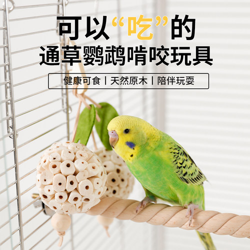 鹦鹉藤球通草藤球啃咬玩具陪伴磨牙互动解闷发泄玄风虎皮鸟用品