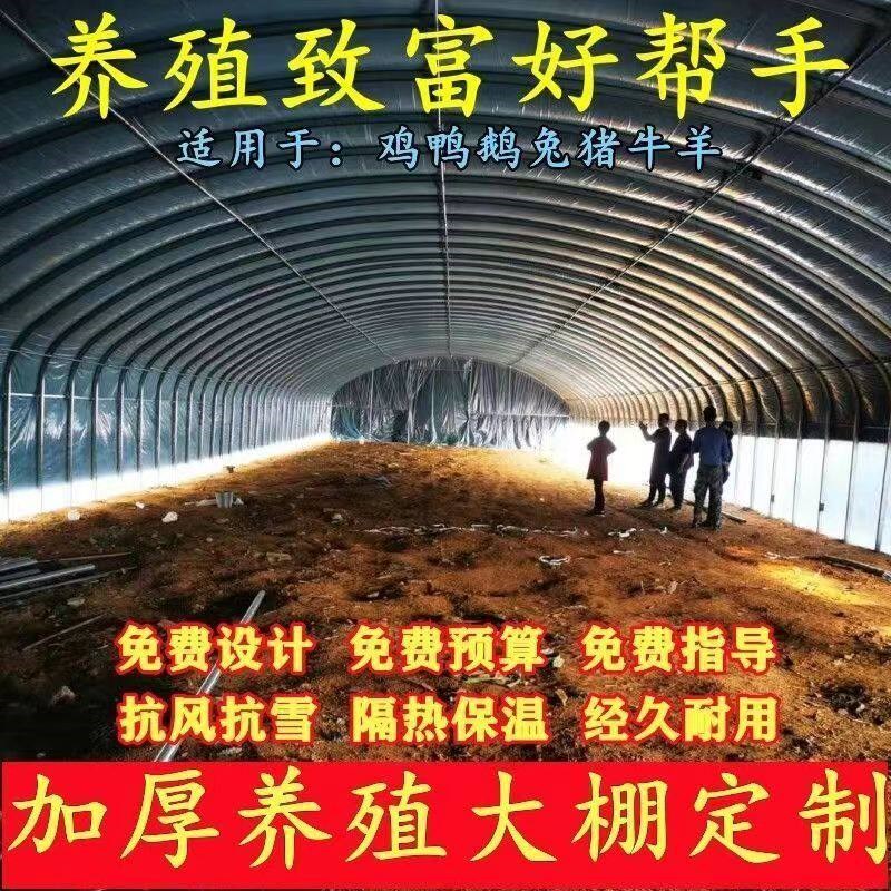 爆温室大棚骨架钢管蔬菜种植养猪场牛棚羊圈椭圆管养殖大棚配件全