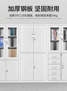 铁皮柜办证室资料带锁物公柜档案柜财务凭储收纳柜更衣柜XYS-142