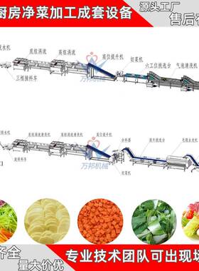 QUD现货西蓝花设旋涡清式清洗机速冻蔬菜前处理洗备洗大型芸豆清