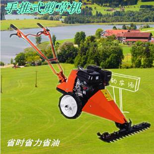 大马力油手100推式便携小型汽果园剪草机力厚草四冲程7.5马打草机