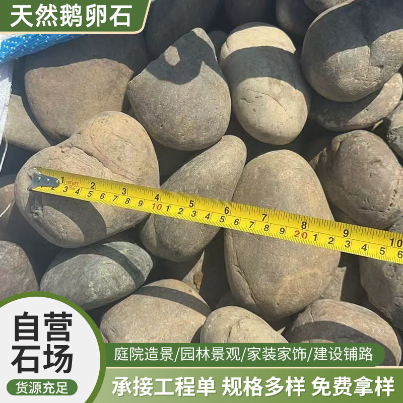 鱼池河卵石草坪景观黄腊石别墅造景河道广场学校园林大石头鹅卵石