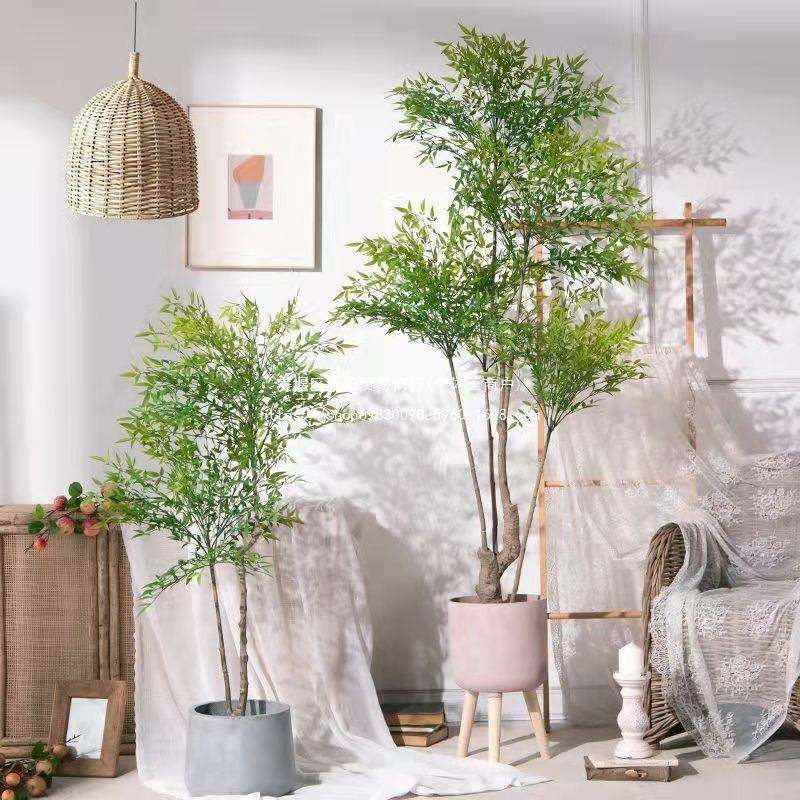 栽仿真竹子仿真植物南天竹落地假树式61467奢板房客样盆厅软装绿,美容美体仪器,其它面部美容工具配件,淘宝优惠券,粉丝福利购,淘宝优惠卷