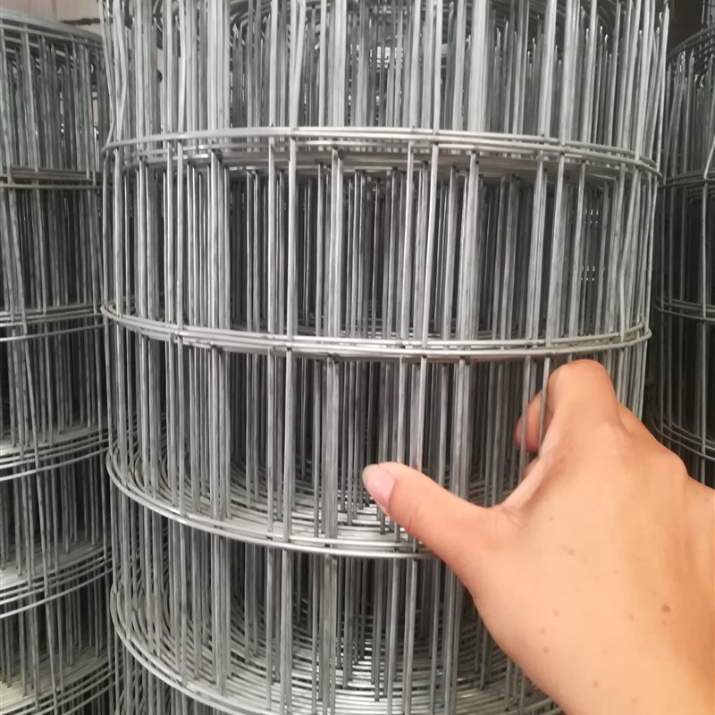 圈玉米网铁丝网围栏养殖网装玉米笼钢丝镀锌电焊网养鸡护栏防护网