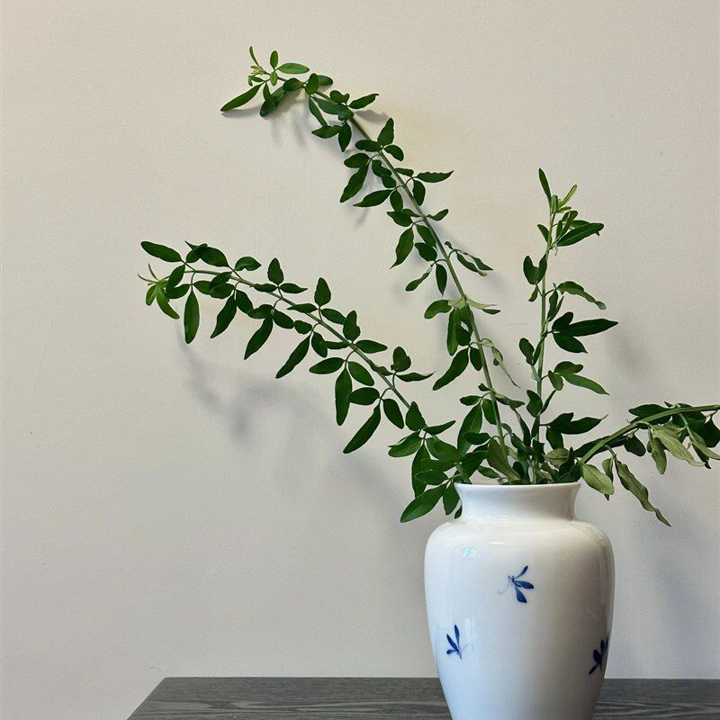 中式陶瓷花瓶手绘蝴蝶兰花摆件客厅插花创意水培鲜花精致装饰瓶