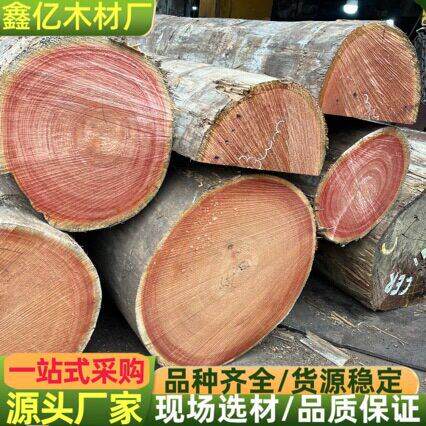 进口红椿原木 红椿板材 加工古建工程家具红椿木板材防腐木料白椿