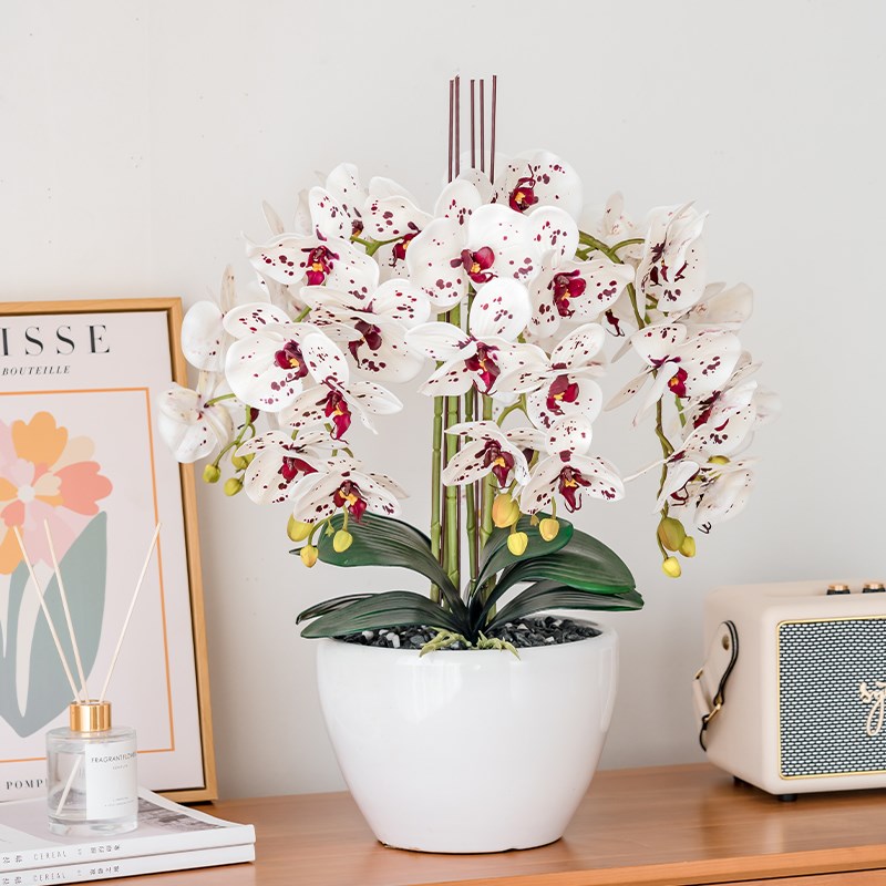 蝴蝶兰盆栽带花仿真花假花家居客厅花束摆件酒店大堂前台摆放花卉