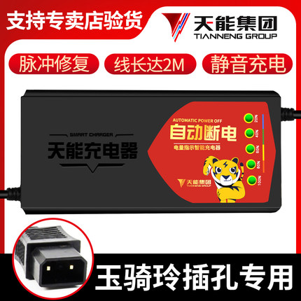 玉骑铃电动车电瓶充电器48V12A60V20AH72V32A40A50A60A三轮通用