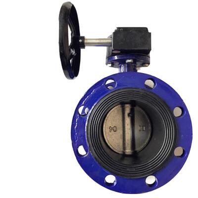 D341X5-10/16ZB1手动软密封涡轮涡300200250法兰DN65100杆蝶阀