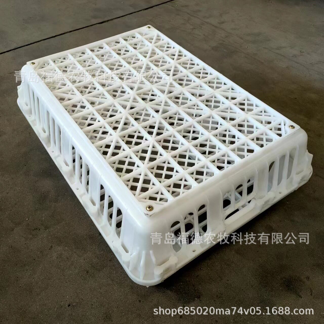 鸡用周转箱 家禽周转箱 家禽运输笼 厂家直销鸡鸭运输笼