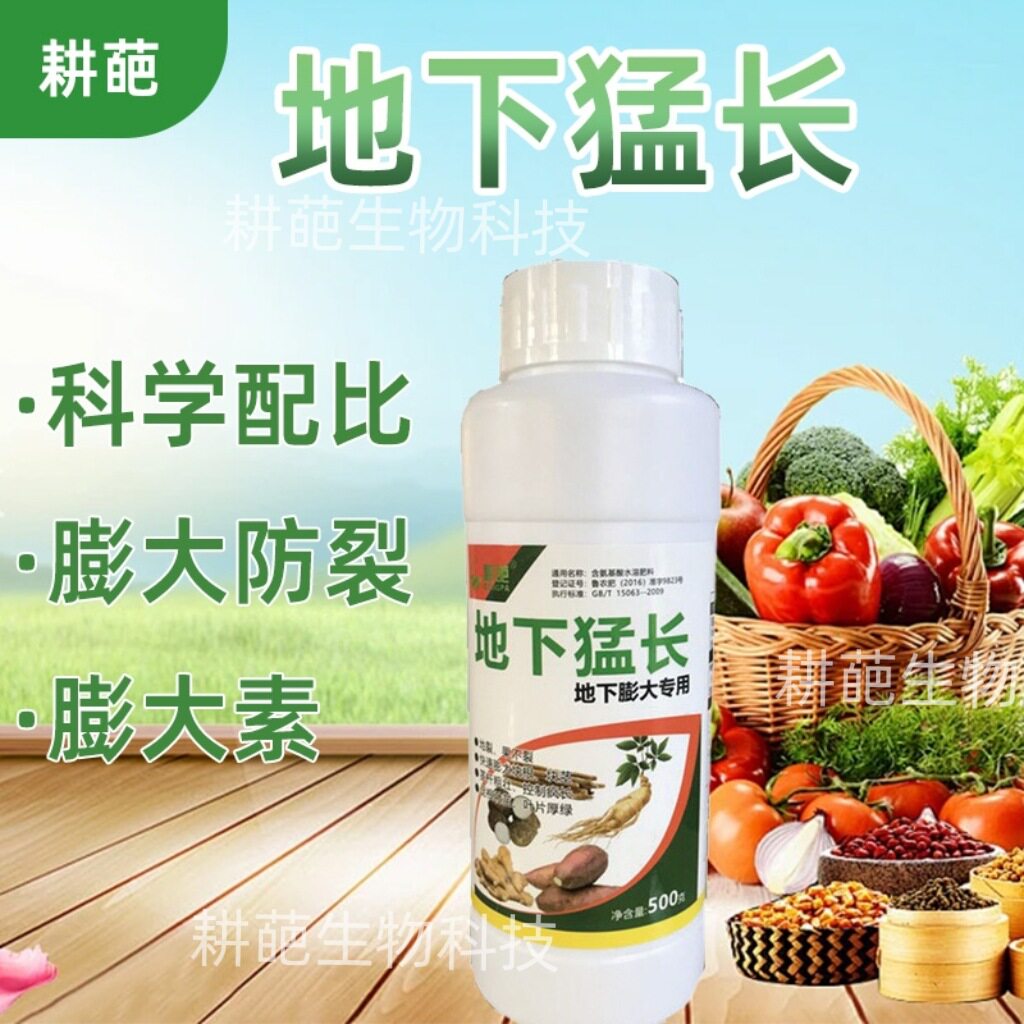 地下作物疯长素根茎膨大素土豆红薯莲藕生姜蒜芋